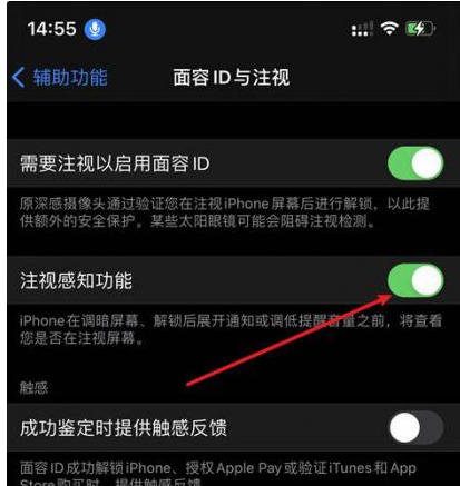 田东苹果14维修网点分享iPhone14注视感知功能有什么用 